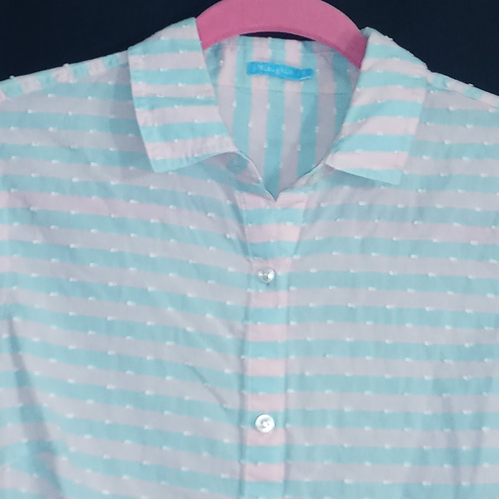 J. McLaughlin Small Pink Blue Stripe Swiss Dot Button Down Shirt Cotton